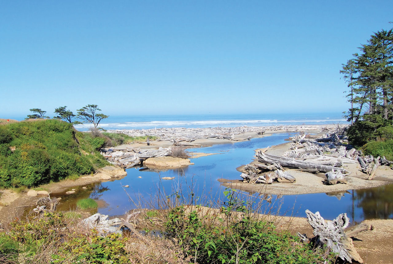 This Olympic National Park web cam looks out at this view from Kalaloch Lodge.