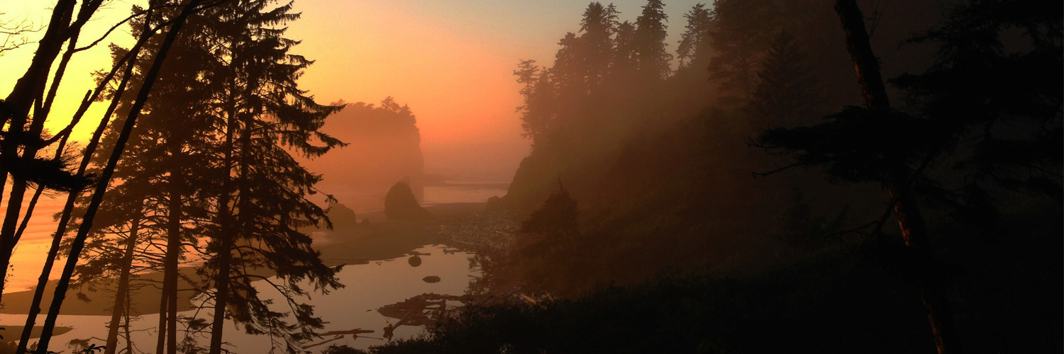 Ruby Beach at sunset