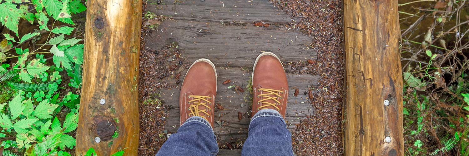 Find the best hikes in Olympic National Park from Kalaloch Lodge, from boardwalks to rainforest trails, there