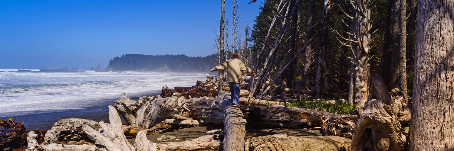 Top 5 All-Season Activities at Kalaloch Lodge