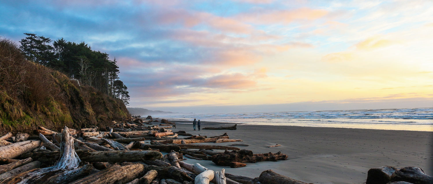 Walk Kalaloch Lodge's inviting driftwood edged beaches at sunset.