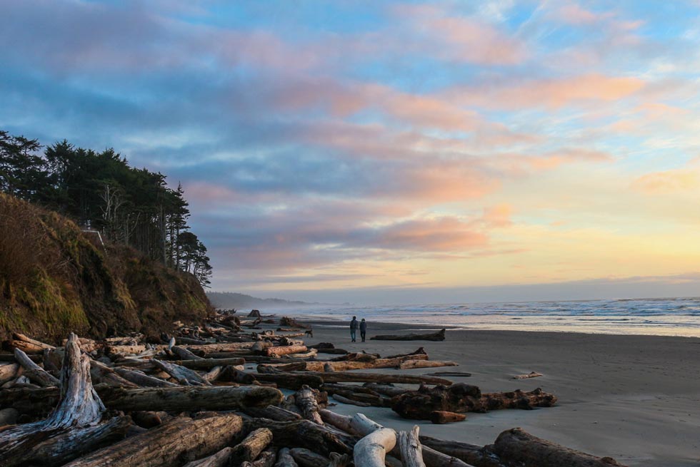 Walk Kalaloch's inviting driftwood-edged beaches at sunset.