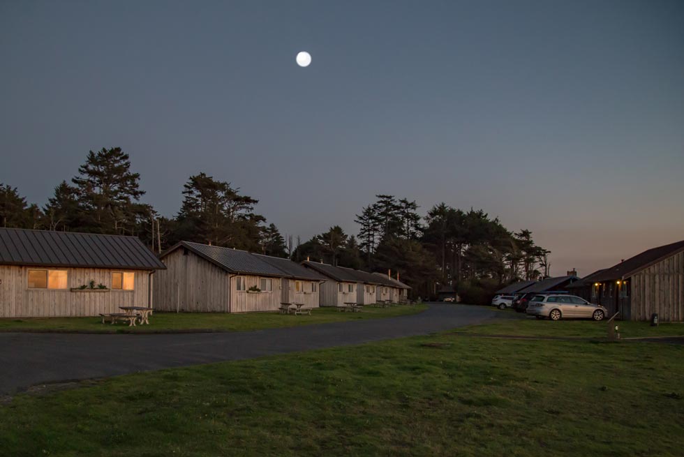Settle into a comfortable cabin at Kalaloch Lodge for the evening.