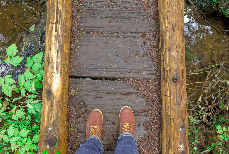 Find the best activities in Olympic National Park from Kalaloch Lodge. From hiking boardwalks to rainforest trails, there's something for everyone.